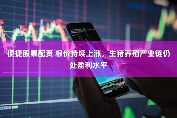 便捷股票配资 粮价持续上涨，生猪养殖产业链仍处盈利水平