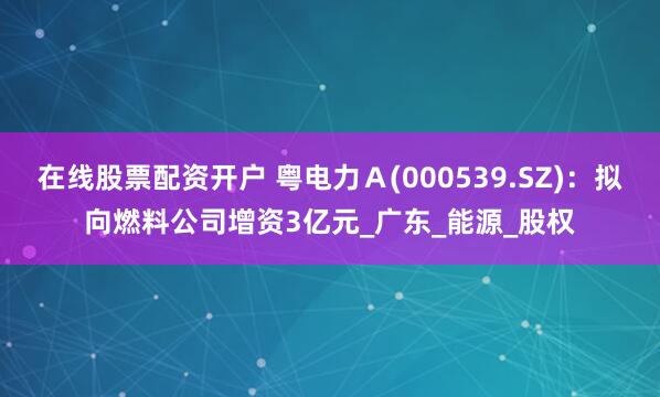 在线股票配资开户 粤电力Ａ(000539.SZ)：拟向燃料公司增资3亿元_广东_能源_股权
