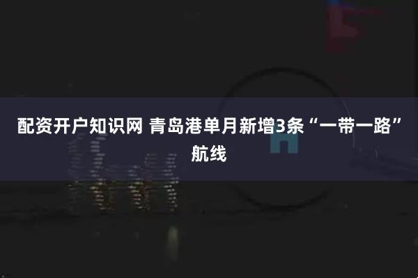 配资开户知识网 青岛港单月新增3条“一带一路”航线