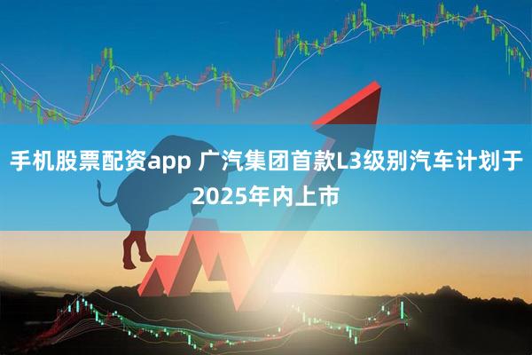手机股票配资app 广汽集团首款L3级别汽车计划于2025年内上市