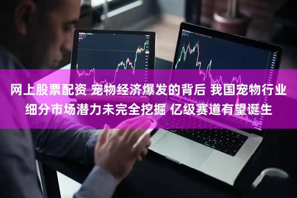 网上股票配资 宠物经济爆发的背后 我国宠物行业细分市场潜力未完全挖掘 亿级赛道有望诞生