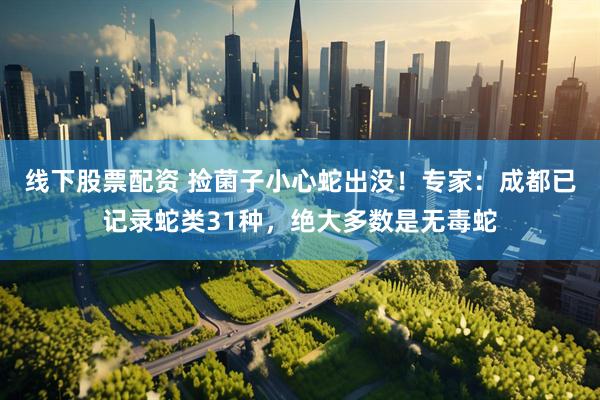 线下股票配资 捡菌子小心蛇出没！专家：成都已记录蛇类31种，绝大多数是无毒蛇